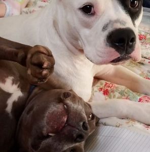 Meet your Posher, Marcus